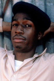 FLASH